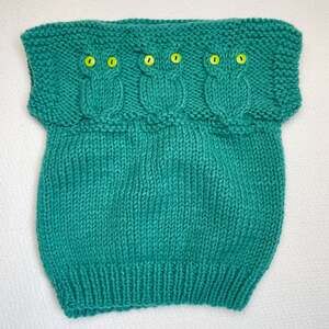 Handmade Owl Crocheted Sweater